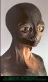 /album/imagenes-/reptilianos-jpg/